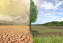 Photo of Климатические изменения угрожают планете